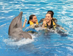 Farid Kamil Instagram - Unforgettable experience with Simba the dolphin at the @balimarinepark with my little family 🥲 The kids were so happy!!! 

Don’t miss this spot when you’re down in Bali - up close and personal with these sweet & intelligent creatures. 

Thank you for the memorable moments @balimarinepark, and #romantikaastro & @cogearproductions for setting up a special slot for us to enjoy Bali like we’ve never done before ❤️🤝