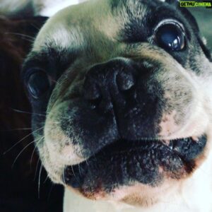 Favio Posca Instagram - Carita de Concha dice...