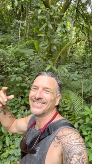 Federico Amador Instagram - La selva, fuente de vida, hermosa, salvaje, pura, despiadada!!.
.
Cada ecosistema, fundamental para el sano equilibrio, disfrutemos , conéctemos con la madre naturaleza, siempre❤️.
.
. @conexionanimalnet 
#conexionanimal #selva #naturaleza