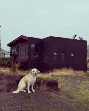 Federico Olivera Instagram - Población permanente. El Chalten.

@chaltensuiteshotel 

#patagoniargentina