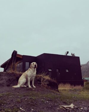 Federico Olivera Instagram - Población permanente. El Chalten.

@chaltensuiteshotel 

#patagoniargentina