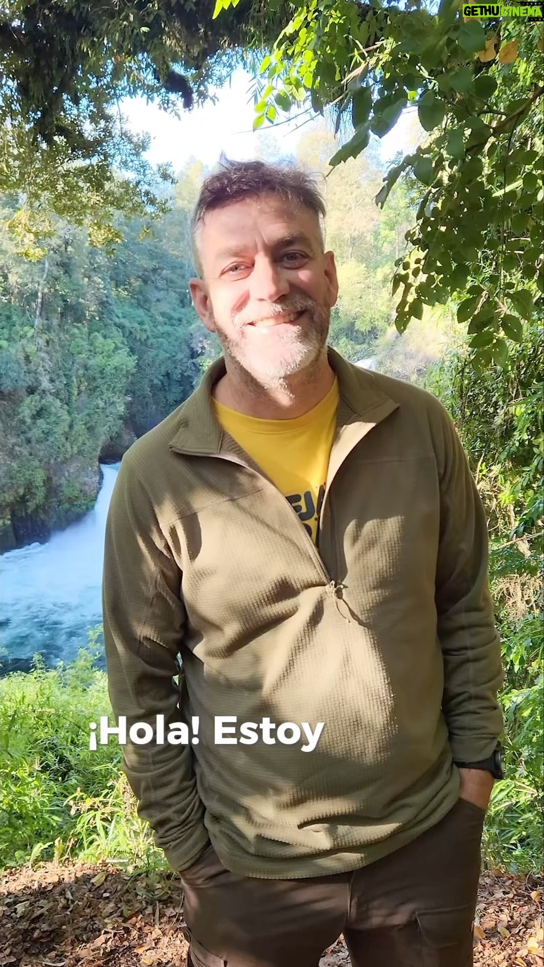 Felipe Braun - 4.7K Likes - La verdad es que el @parquefutangue no me deja de sorprender!! Fue un viaje increíble junto al equipo de #SobrelaTierra, falta solo un mes para el estreno!!! @garmin_chile skyairline
No se lo pueden perder por @canal13cl 🌱
@cotedelafuente1
@leoprieto
@martinguzi
@beacostaa
.
.
.
#sobrelatierra #felipebraun #canal13c #trekkingchile #naturalezachile #surdechile #parquefutangue