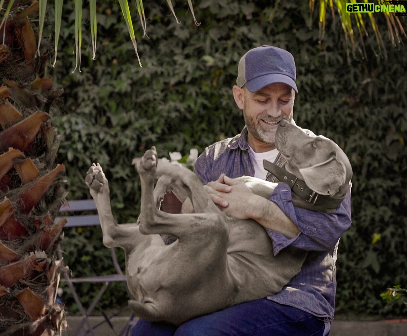 Felipe Braun - 4.1K Likes - A medida que la ciencia profundiza en nuestra conexión con los perros, nos vamos dando cuenta de que no se trata simplemente de verlos a través de una lente humana. La autoconciencia, los sentimientos y las emociones de los perros son temas que la ciencia está empezando a explorar de manera más profunda, desafiando nuestros prejuicios y enriqueciendo nuestra comprensión de la naturaleza de esta relación.
En un mundo donde los perros y humanos están más conectados que nunca, el futuro de nuestra relación debería ser aún más profundo, respetuoso y significativo.
¿Qué opinan sobre esto? #perravida
.
.
.
#dogs #perros #animals #photography