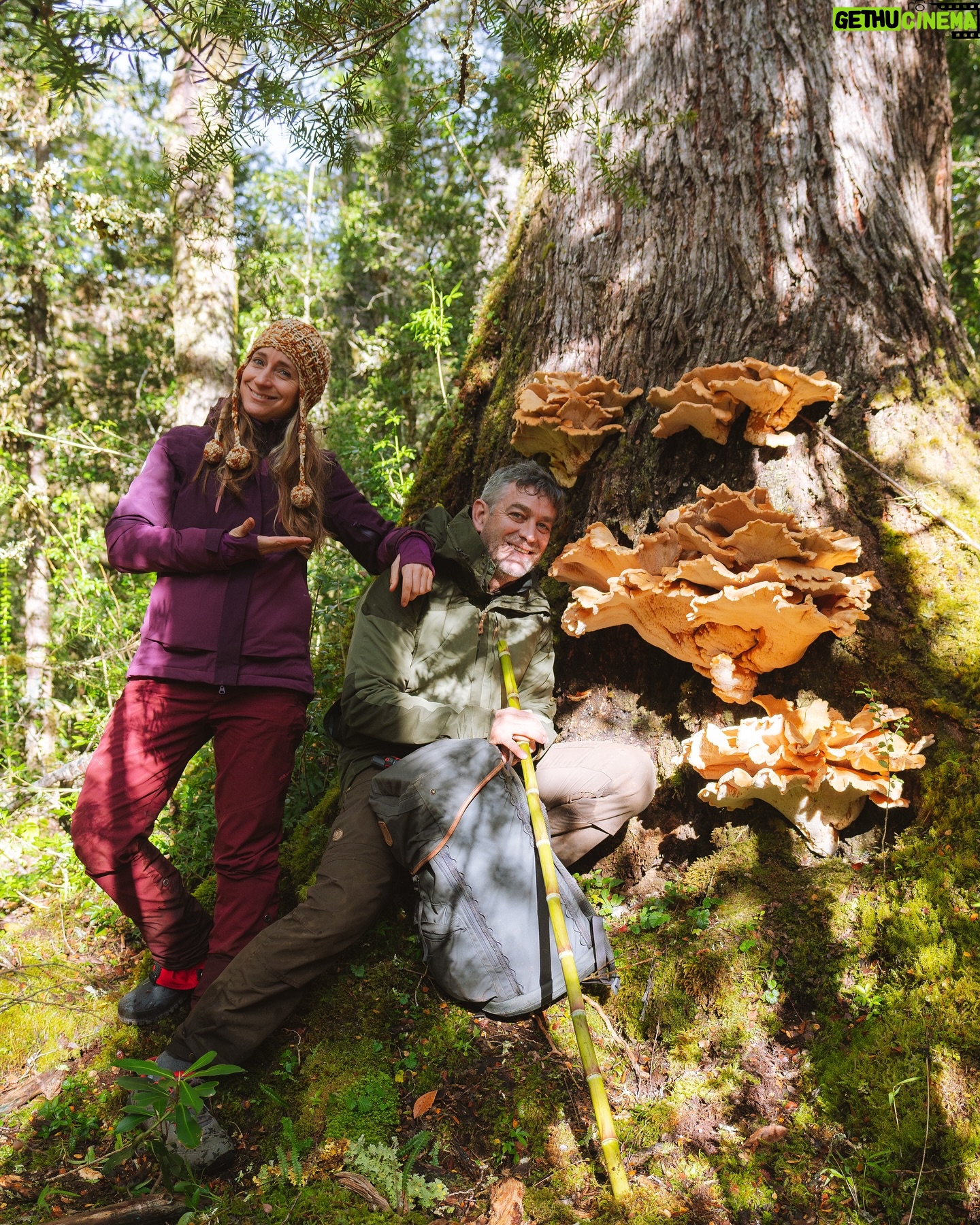 Felipe Braun - 7.3K Likes - Hace algunas semanas estuvimos grabando en Casa Patagonia, Lago Caro, con @isidora.cabezonpapic y Felipe Piriz
Este lugar se encuentra rodeado por el Mallín, que en lengua mapuche significa “área inundada o bajo donde se acumula el agua”. Y así es precisamente como lo conocimos, acompañado de unos bosques frondosos llenos de fauna y fungi, con cascadas y caminatas que nos dejaron enamorados de este lugar.
Ya pronto podrán saber mucho más en #SobrelaTierra por @canal_13c
No se lo pierdan!! 21 de julio a las 15.30 🙌🏽
📸 @iamgessyg
.
.
.
#felipebraun #naturalezachile #patagonia #casapatagonia #surdechile