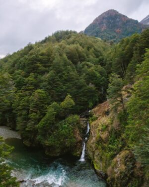 Felipe Braun Instagram - Hace algunas semanas estuvimos grabando en Casa Patagonia, Lago Caro, con @isidora.cabezonpapic y Felipe Piriz

Este lugar se encuentra rodeado por el Mallín, que en lengua mapuche significa “área inundada o bajo donde se acumula el agua”. Y así es precisamente como lo conocimos, acompañado de unos bosques frondosos llenos de fauna y fungi, con cascadas y caminatas que nos dejaron enamorados de este lugar.

Ya pronto podrán saber mucho más en #SobrelaTierra por @canal_13c 
No se lo pierdan!! 21 de julio a las 15.30 🙌🏽
📸 @iamgessyg 
.
.
.
#felipebraun #naturalezachile #patagonia #casapatagonia #surdechile
