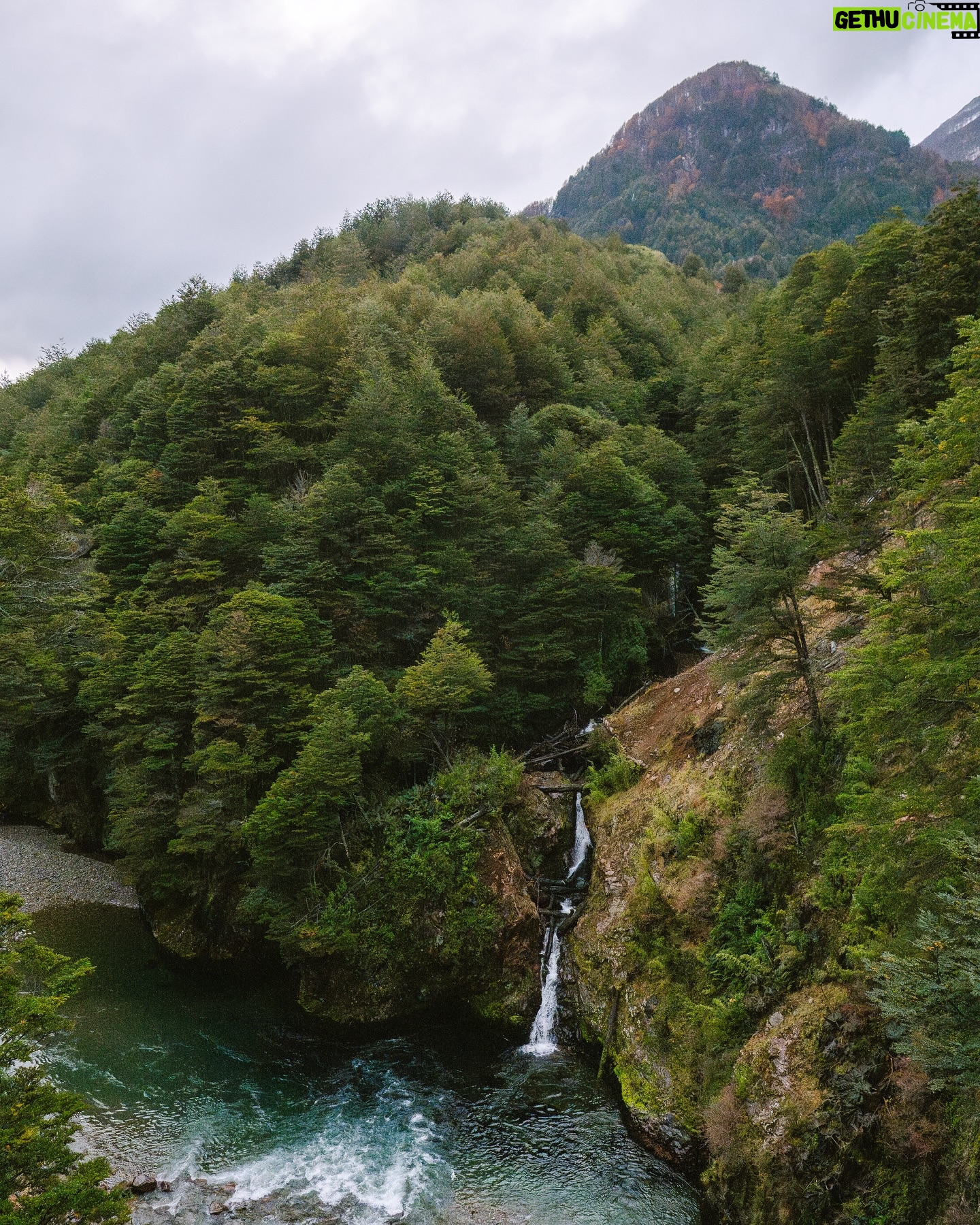 Felipe Braun - 7.3K Likes - Hace algunas semanas estuvimos grabando en Casa Patagonia, Lago Caro, con @isidora.cabezonpapic y Felipe Piriz
Este lugar se encuentra rodeado por el Mallín, que en lengua mapuche significa “área inundada o bajo donde se acumula el agua”. Y así es precisamente como lo conocimos, acompañado de unos bosques frondosos llenos de fauna y fungi, con cascadas y caminatas que nos dejaron enamorados de este lugar.
Ya pronto podrán saber mucho más en #SobrelaTierra por @canal_13c
No se lo pierdan!! 21 de julio a las 15.30 🙌🏽
📸 @iamgessyg
.
.
.
#felipebraun #naturalezachile #patagonia #casapatagonia #surdechile