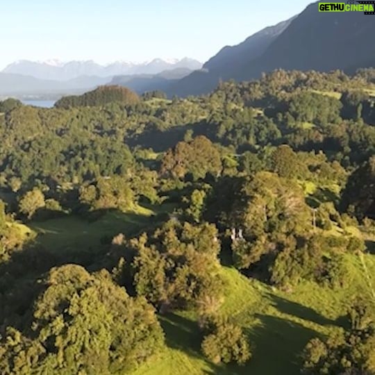Felipe Braun - 5.3K Likes - ¿Alguien que sepa dónde se encuentra esta isla?
¡Una pista! Está en el Lago Ranco...
Los leo!!
.
.
.
#surdechile #drone #photography # lago #isla