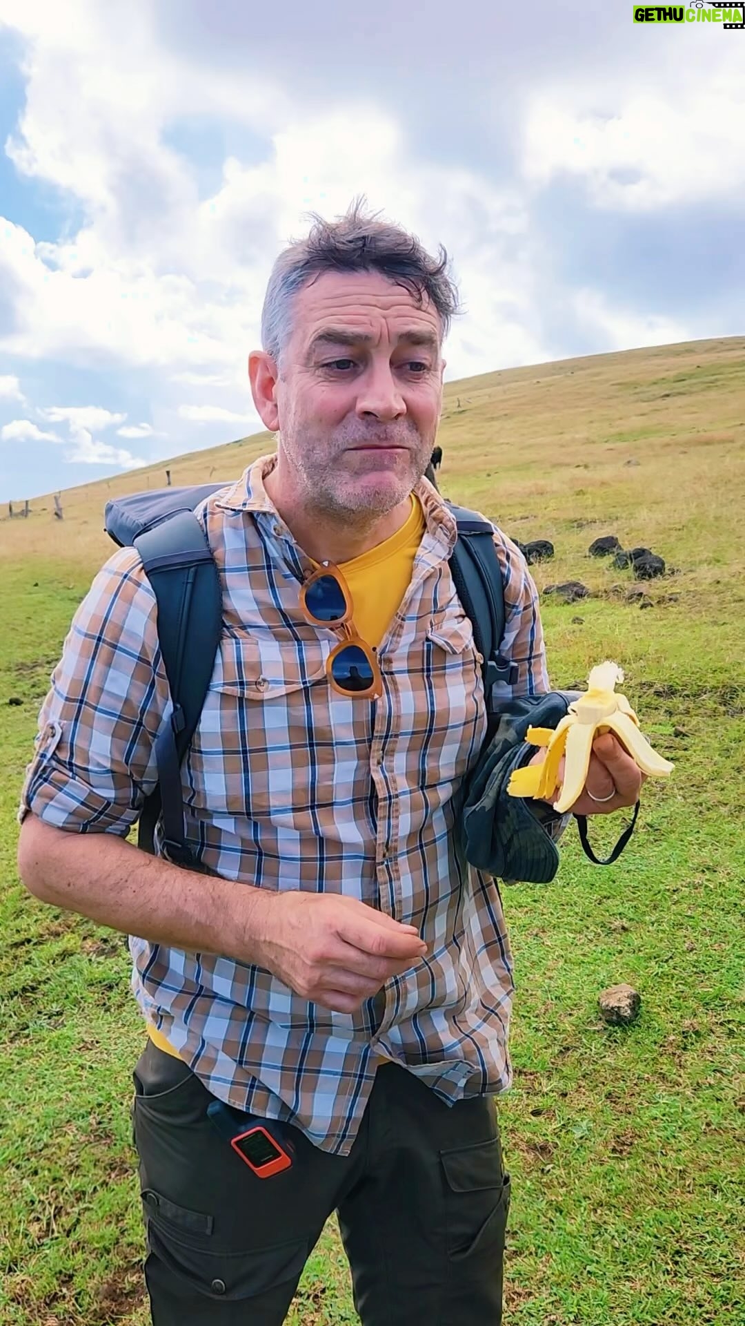 Felipe Braun - 9.1K Likes - ¿Conocían esta tradición Rapanui?
Qué maravilla encontrarse con estos platanitos en la ruta! Luego de varios kilómetros junto a Neru de @exploratravel y @rgborago encontrarnos con esto muy una delicia!!!
¿Qué les parece? ¿Dejarían alimentos para los caminantes que vengan después?
Los leo!!!
#sobrelatierra #canal13c #felipebraun
.
.
.
#trekkingchile #naturalezachile #rapanui #isladepascua @garmin_chile