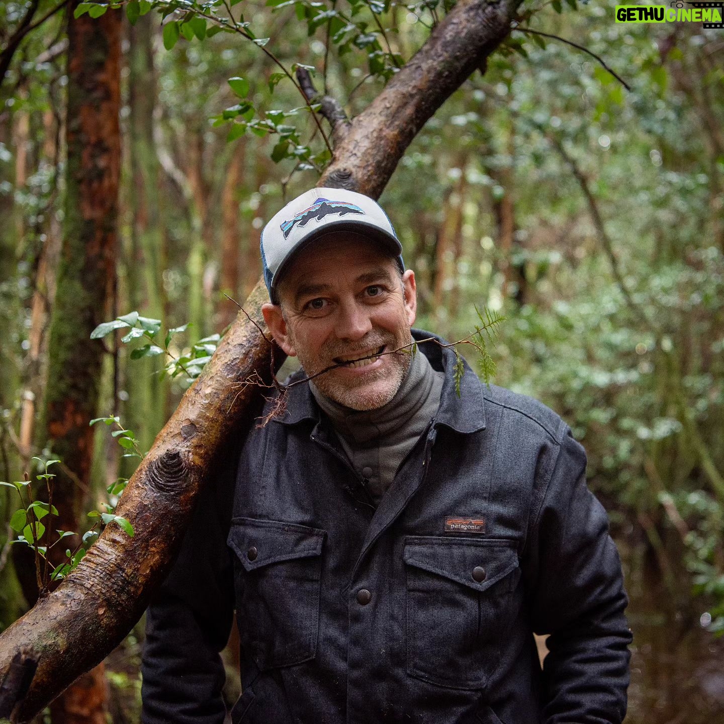 Felipe Braun - 4.2K Likes - Aquí en el sur los paseos al bosque son imperdibles!!
Ya dentro de poco volverán las lluvias y ese verde fuerte que nos acompaña en el invierno, pero aunque yo soy feliz con los días de sol, igual a veces se echa de menos la lluvia sureña🌧
¿Y ustedes??¿ Son más de verano o de invierno?
Los leo!!!
.
.
.
#SurdeChile #lluvia #bosquesdechile #senderos #paseoschile