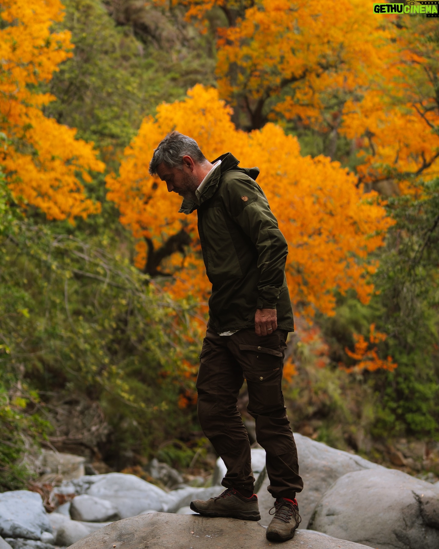 Felipe Braun - 3.4K Likes - El Maule nos regaló estos increíbles colores, con un otoño que jamás había visto así: rojos intensos, amarillos en diferentes tonalidades y naranjos sorprendentes 🍂
Estas fotos las tomó @iamgessyg en el Parque Tricahue, mientras grabábamos uno de los capítulos más coloridos de #SobrelaTierra, que ya estamos a solo a 10 días de estrenar!!
Nos vemos pronto por @canal_13c
¿Han visto algún Otoño así?
Los leo!! @lapesebrera_delmaule
.
.
.
#sobrelatierra #sobrelatierra13c #canal13c #canal13cl #maule #tricahue #regiondelmaule #chile #naturalezachile