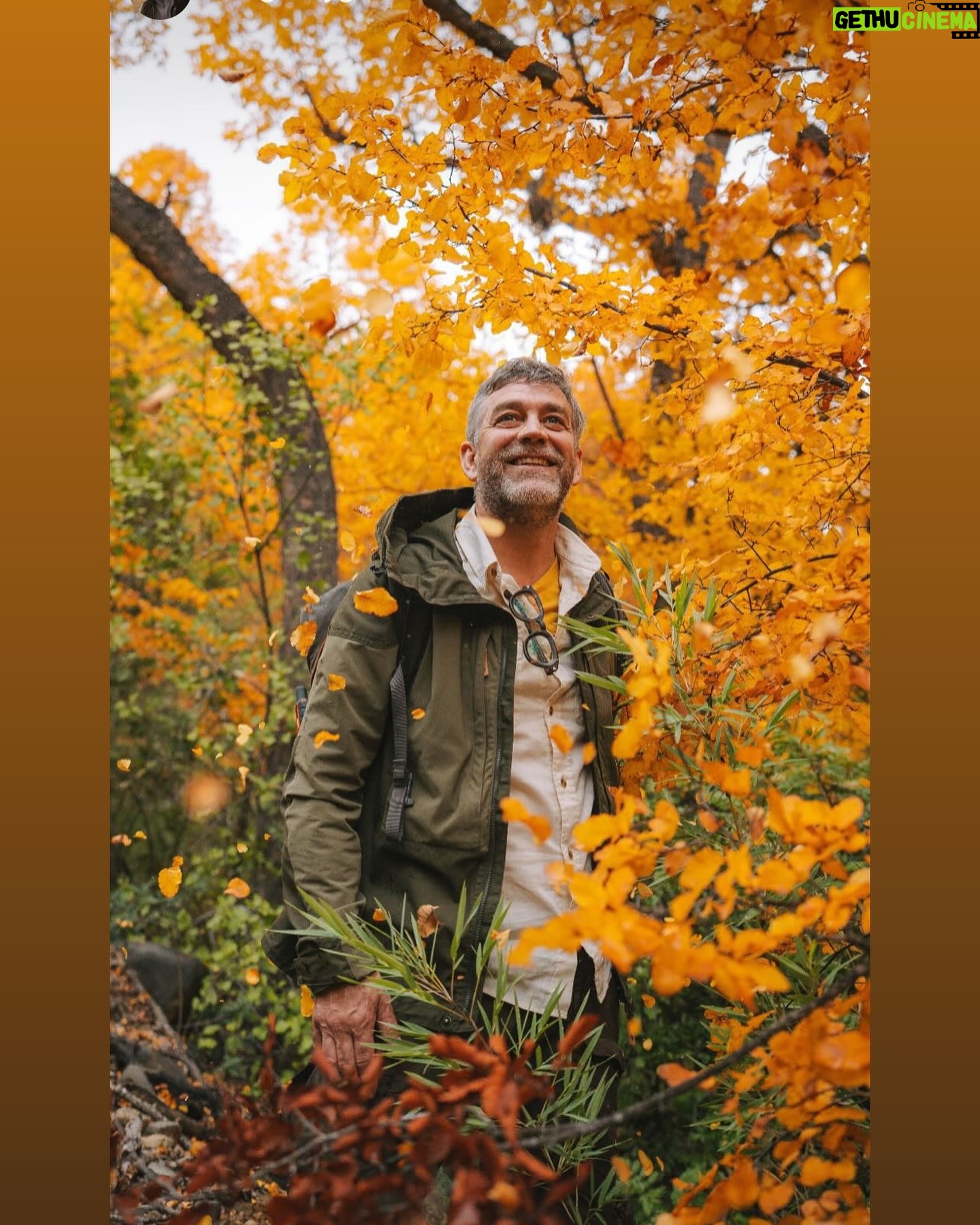 Felipe Braun - 5.3K Likes - El mejor otoño de mi vida!! Esto fue en el #maule con @lapesebrera_delmaule la foto maravillosa es de @iamgessyg #mauleadicto #chile #otoño #surdechile🇨🇱