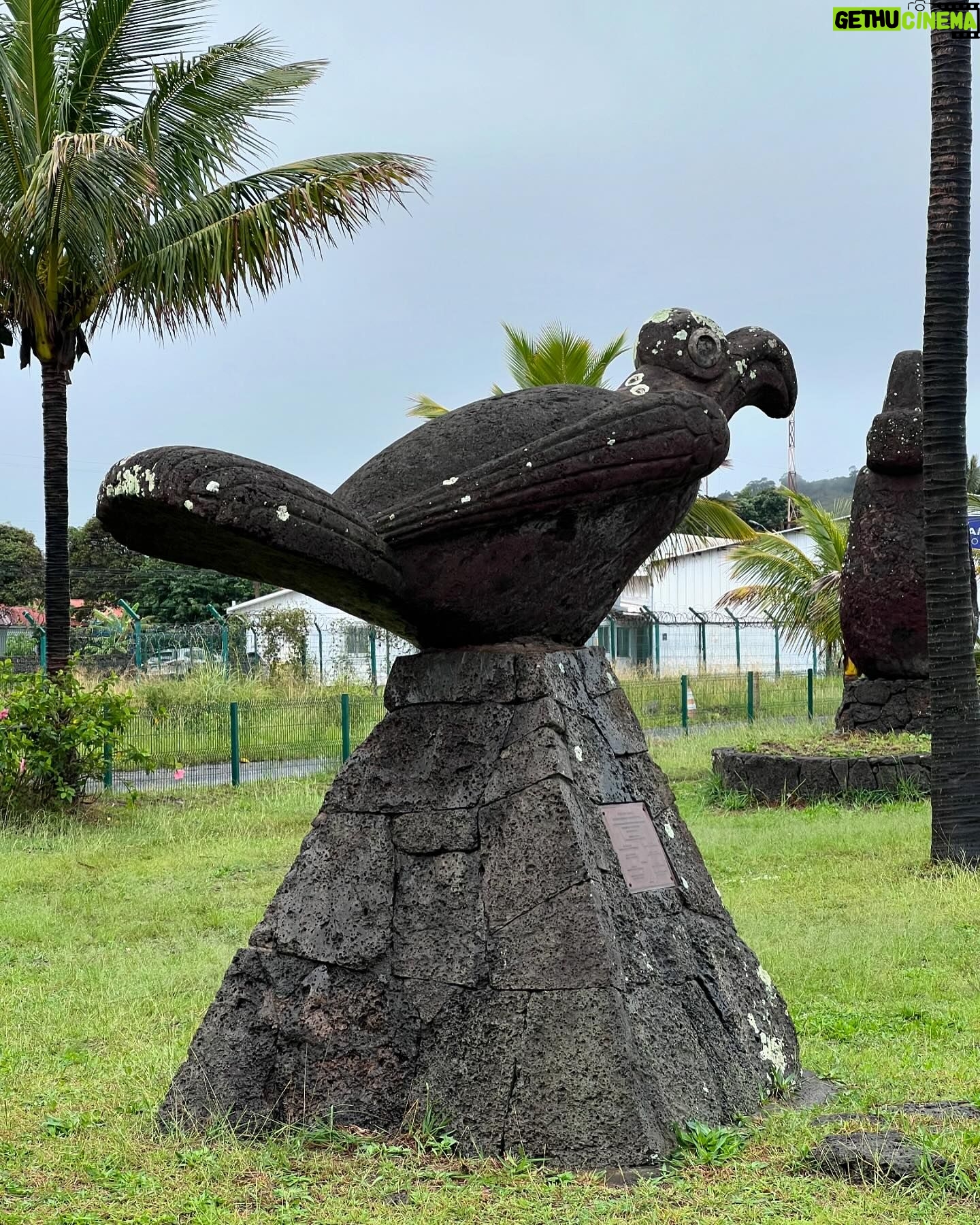 Felipe Braun - 5.8K Likes - Llegué por primera vez a hacer #Iorana hace 30 años y nunca he dejado de emocionarme. Amo esta isla, pero por sobre todo a su gente #rapanui @exploratravel.