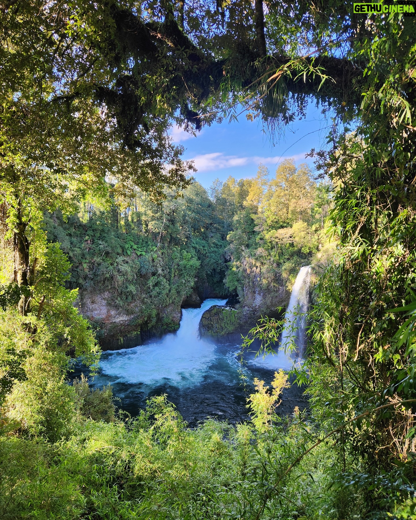 Felipe Braun - 3.4K Likes - Sigo mostrándoles las maravillas del @parquefutangue
Quedamos deslumbrados con la frondosa vegetación y la cantidad de hongos, plantas y animales que viven en el parque.
Hay todo un mundo pequeñito por descubrir 🌱🍄
Ayúdenme con los nombres de los hongos que aparecen en la tercera foto!!
Los leo!!
.
.
.
#SobrelaTierra #parquefutangue #naturalezachile #canal13c #surdechile #trekkingchile #felipebraun #felipebraun1 @huiroregenerativo @leoprieto