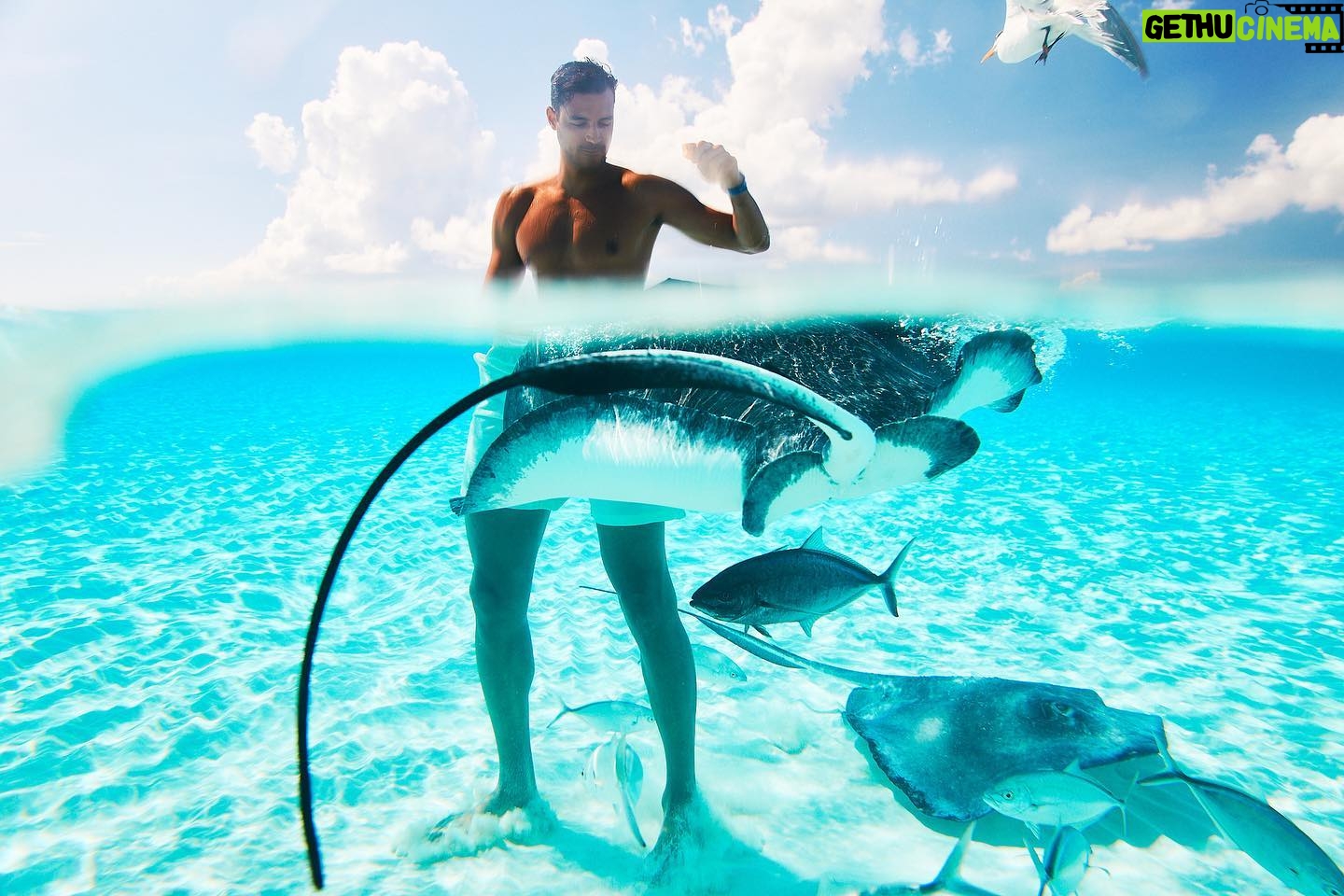 Felipe Gomes - 1K Likes - “You will love the ocean. It makes you feel small, but not in a bad way. Small because you realize you’re part of something bigger.”
Lauren Myracle
- - - -
“Você vai adorar o oceano. Faz você se sentir pequeno, mas não de uma maneira ruim. Pequeno porque você percebe que faz parte de algo maior.”
Lauren Myracle
.
.
.
#paradise #sea #life #princesscruises #carribean