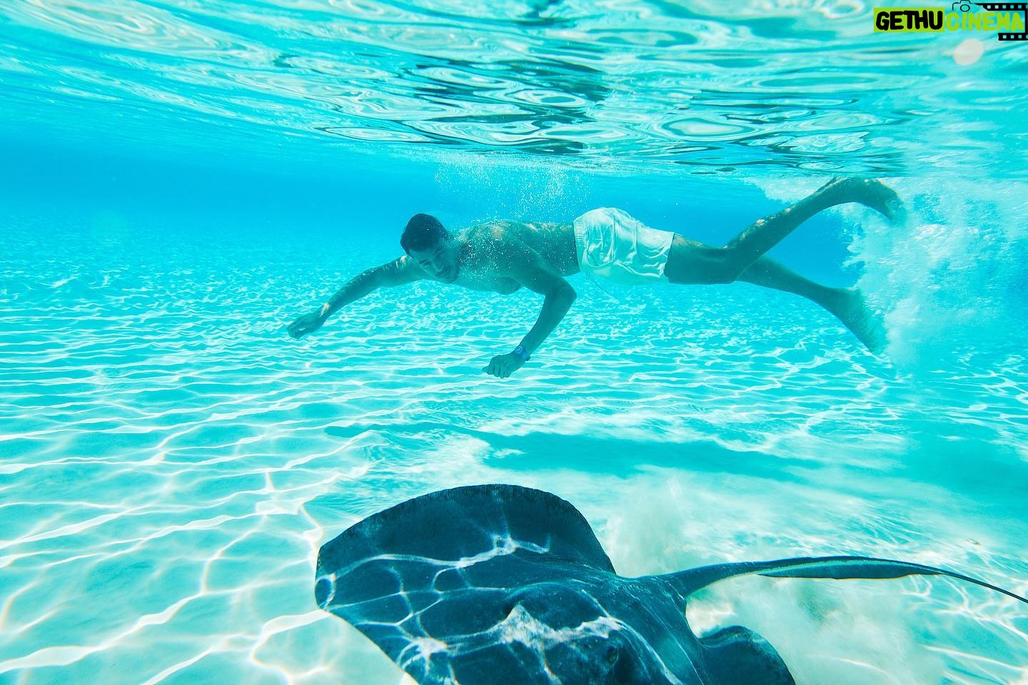 Felipe Gomes - 1K Likes - “You will love the ocean. It makes you feel small, but not in a bad way. Small because you realize you’re part of something bigger.”
Lauren Myracle
- - - -
“Você vai adorar o oceano. Faz você se sentir pequeno, mas não de uma maneira ruim. Pequeno porque você percebe que faz parte de algo maior.”
Lauren Myracle
.
.
.
#paradise #sea #life #princesscruises #carribean