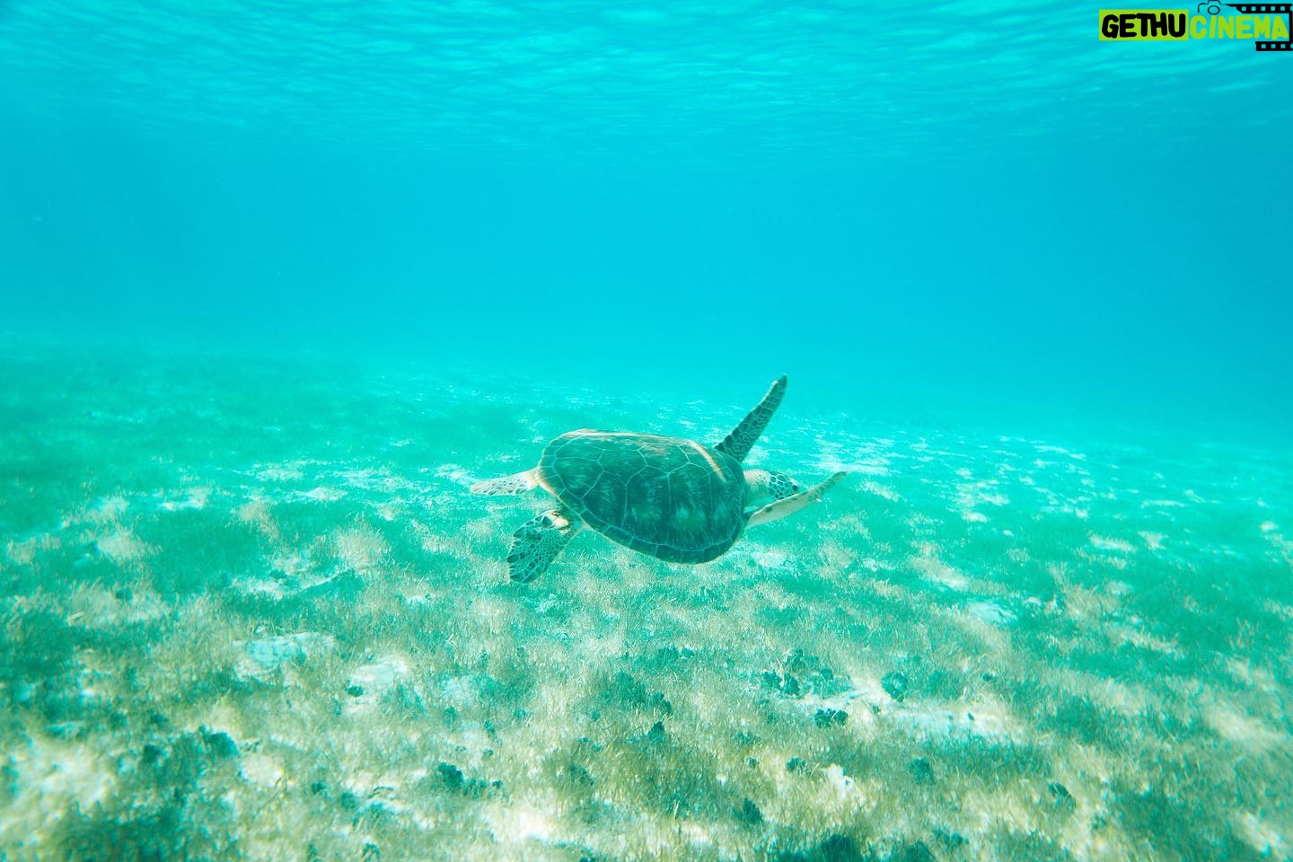 Felipe Gomes - 1K Likes - “You will love the ocean. It makes you feel small, but not in a bad way. Small because you realize you’re part of something bigger.”
Lauren Myracle
- - - -
“Você vai adorar o oceano. Faz você se sentir pequeno, mas não de uma maneira ruim. Pequeno porque você percebe que faz parte de algo maior.”
Lauren Myracle
.
.
.
#paradise #sea #life #princesscruises #carribean