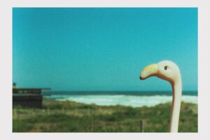 Felipe Rojas Instagram - Análogas
#35mm