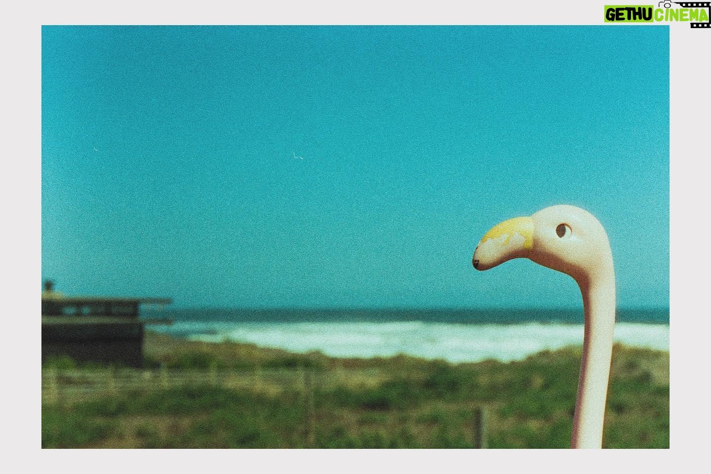 Felipe Rojas - 3 Likes - Análogas
#35mm