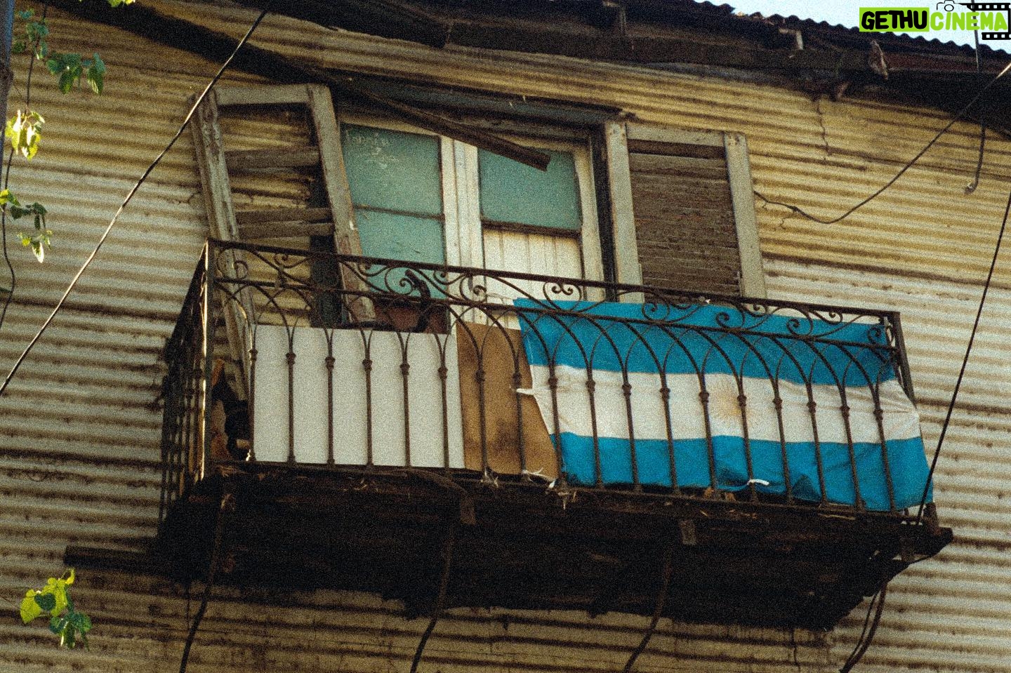 Felipe Rojas - 584 Likes - Análogas bsas
#35mm