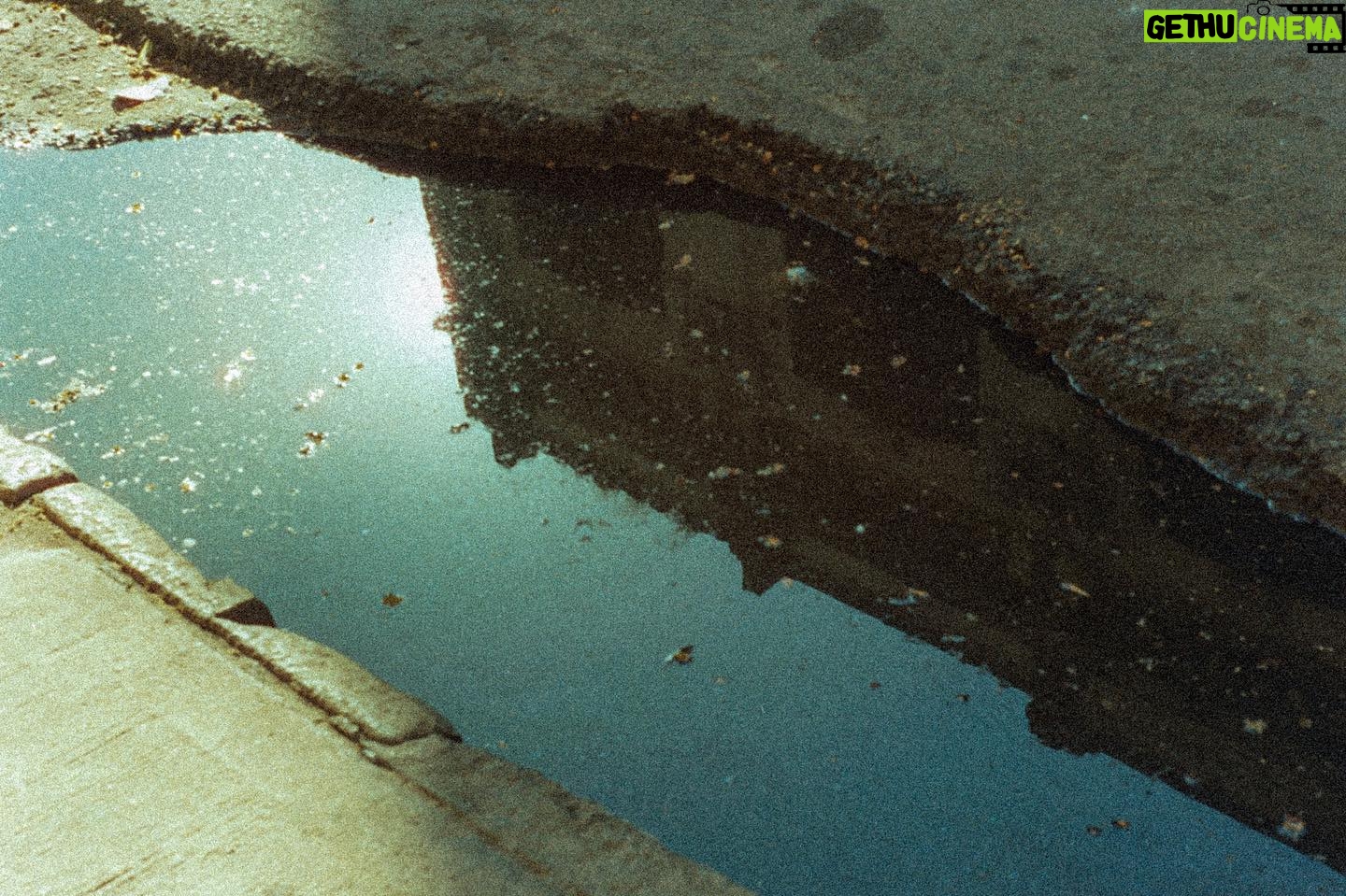 Felipe Rojas - 584 Likes - Análogas bsas
#35mm