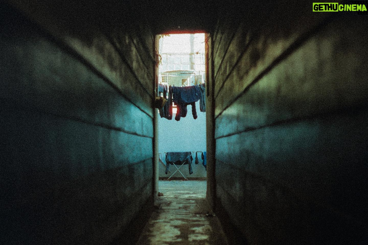 Felipe Rojas - 584 Likes - Análogas bsas
#35mm