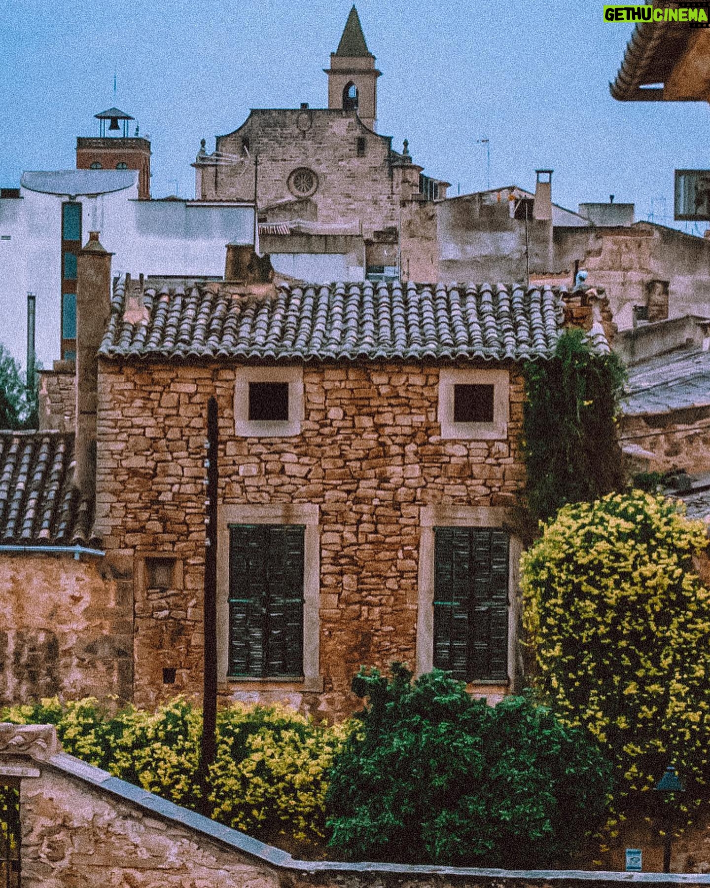 Felipe Rojas - 1.3K Likes - Santanyí, Mallorca 🏴☠️