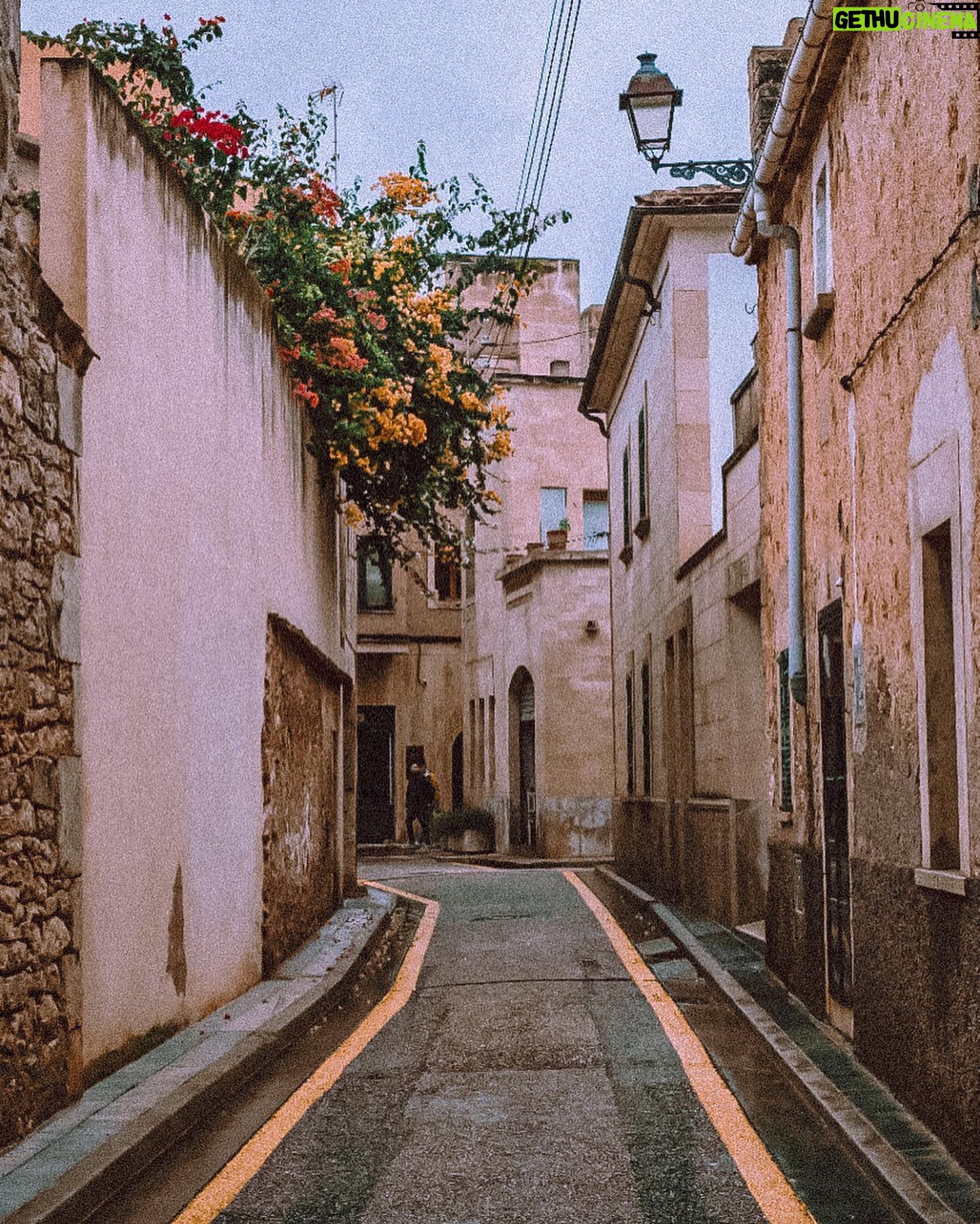Felipe Rojas - 1.3K Likes - Santanyí, Mallorca 🏴☠️