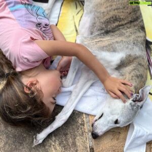 Felipe Torres Instagram - Ainda sobre intensa dor da perda compartilho publicamente essa declaração de amor à minha cachorrinha que se foi, a Lucy.
Lucy, você foi incessante luz de amor na vida de nossa família. Aliás, você foi a amálgama que nos uniu como família.
Passeios, corridas, brincadeiras, uma parceria inesquecível.
A vida sem você vai perder um pouco a graça, Pipi. Vai ser muito difícil superar sua ausência.
Estamos aqui, eu, minha amada esposa Carla e a nossa princesa Mia, numa tristeza abissal, mas vamos superar.
Todos os cantos da casa, do bairro, do sítio, da casa da minha sogra vão remeter a sua ausência por um tempo, mas o mesmo tempo há de transformar essa dor em memórias saudosas do seu amável convívio.
Com os olhos afogados em lágrimas me despeço de ti com essa homenagem pública do meu imenso amor.
EU VOU TE AMAR PARA SEMPRE, LUCY.