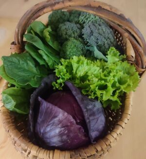Félix Gómez Instagram - Buenos días!!! Días de huerta y campo... 🌱
Recogiendo las últimas verduras del Invierno, brócolis lombarda, espinacas y lechuga. Aún en la tierra queda algún repollo, habas (que ahora están en flor) y más espinacas. Y empezando ya a preparar la tierra para la huerta de Primavera y Verano. Este año me he adelantado un poco con las patatas, las planté ayer. El año pasado no se me dieron bien y esta temporada voy a intentar otra cosa...ya os contaré si acierto o no.

Sé que soy un afortunado por tener la posibilidad de tener un trozito de tierra. El gustazo de comer lo que cultivas, de regalar a tus seres queridos tus hortalizas y tus frutas no tiene parangón.

Manos a la tierra 💚 , no hay tiempo mejor empleado.

P.D. En la última foto, mi mejor amiga 🐞...ya están aquí. No sabéis la alegría que da verlas aparecer.  No hay mejor defensa.