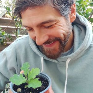 Félix Gómez Instagram - 🌱Este roble a penas tiene dos meses, crece fuerte  y sano, tiene ganas... Irá a tierra el Otoño próximo, cuando a penas levante un 10cm. Irá pronto, quizás lo mejor sería esperar un par de años, pero va a un entorno protegido donde cuidaré de él. No creo que llegue a cobijarme bajo su sombra, pero mis sobrinos  podrán leer a sus nietos cuentos a la sombra fresca de este pequeño. 

Una semilla necesita décadas o siglos para convertirse en un Árbol adulto capaz de ofrecer todos sus beneficios ... a un hombre le lleva un segundo firmar la tala innecesaria y caprichosa de muchos de ellos, sin parar a pensar cuánto les ha costado a esos Seres Vivos llegar hasta allí. Sin parase a pensar cuantos beneficios esos Gigantes nos ofrecen pidiendo a cambio, sólo , que les dejemos Ser. Sin parase a pensar en otras alternativas, que seguro hay, para evitar esa tala innecesaria y poder continuar con las mejoras de infraestructuras que los ciudadanos necesitan. 

Por favor, demos como sociedad, como tribu, como habitantes del Planeta Tierra, el lugar, el cuidado y el respeto que los ÁRBOLES merecen. Ellos no nos necesitan, nosotros les necesitamos a ellos, sin ellos nuestra vida no es posible, por muy invencibles y eternos que nos creamos... sin árboles no hay vida... 🌳
A ver si de una vez nos metemos esto en la cabeza!!!

Plantar árboles está MUY BIEN pero conservar y cuidar los que ya tenemos está mucho mejor...😉