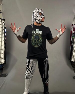 Fénix Instagram - 1 o 2? Or both? 

#Animo