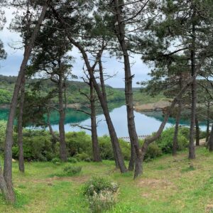 Feridun Düzağaç Instagram - Biz Sinop’u çok sevdik / santral ordan uzak olsun 🌈 #sinop #sabahattinali #sinoplunükleersantralistemiyor #cennet #vicdan #insaf