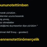 Feridun Düzağaç