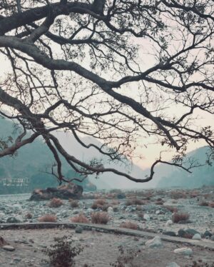 Fernanda Diniz Instagram - Haidakhan Babaji Ashram, Himalayas 📿🙏🏽