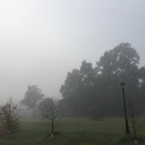 Fernanda Neil Instagram - #niebla 🍂🍁