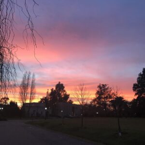 Fernanda Neil Instagram - 🌅 Un nuevo día...una nueva oportunidad para ser mejores...🙏🏻#nofilter