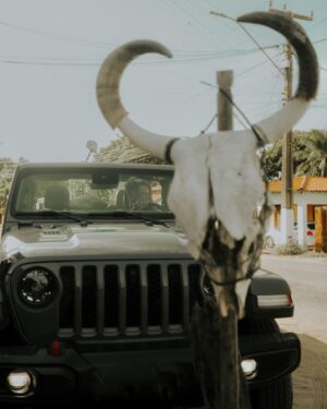 Fernando Fernandes Instagram - Levei meu Jeep Gladiator até Morro Branco/CE para viver mais uma nova emoção…
Conto para vocês nos próximos dias !
Já adianto, o Gladiator fez toda a diferença.
@jeepdobrasil #publi