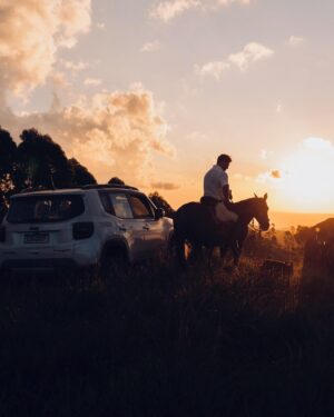 Fernando Fernandes Instagram - Tava com saudades de ar puro, pegar uma estrada, vento no rosto, conexão com a natureza…
Tudo isso a bordo do meu Jeep Renegade, que fez toda a diferença e deixou a viagem ainda mais especial !
E aí, tem uma dica boa de aventura !? Chama que eu vou
@jeepdobrasil #publi