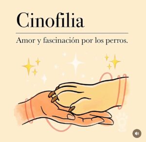 Fernando Tejero Instagram - Pues va a ser que soy cinofilo y cinéfilo…….BUEN MIÉRCOLES 🙌🏻❤️
