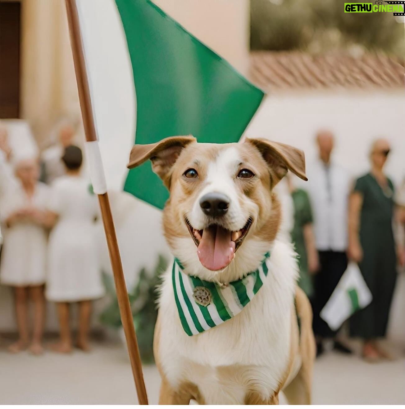 Fernando Tejero - 6.2K Likes - FELICIDADES A TODOS MIS PAISANOS ANDALUCES
VIVA ANDALUCÍA
#28febrerodíadeandalucía #andalucia #sevilla #jaen #cordoba #cadiz #huelva #malaga #granada #almeria #vivaandalucia
