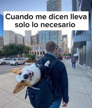 Fernando Tejero Instagram - Feliz Semana Santa a todos …..DISFRUTEN 
Y RECUERDA NO AL ABANDONO ANIMAL
SI ABANDONAS QUE EL KARMA TE ACABE PASANDO FACTURA ❤️🐶❤️🐶❤️🐶