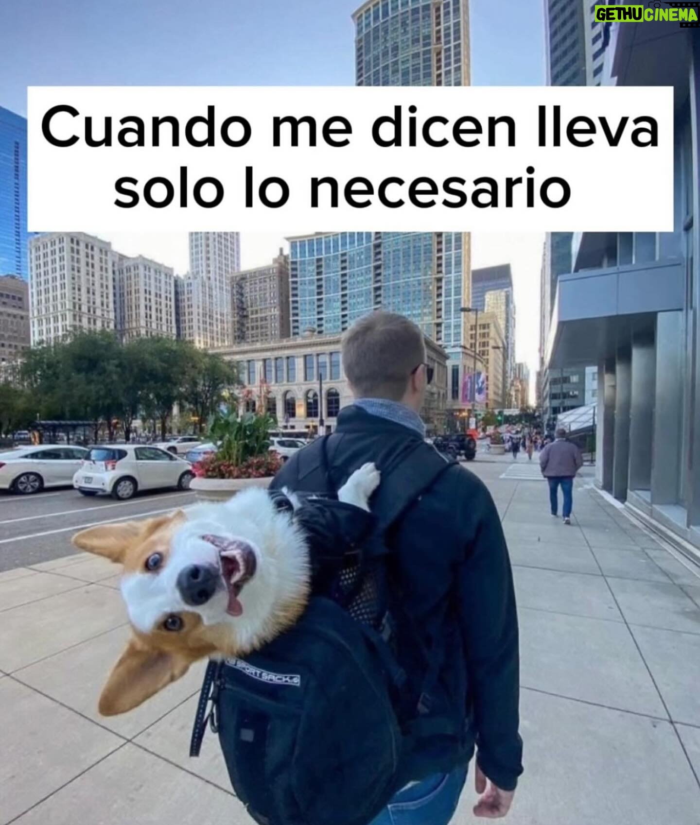 Fernando Tejero - 9.1K Likes - Feliz Semana Santa a todos …..DISFRUTEN
Y RECUERDA NO AL ABANDONO ANIMAL
SI ABANDONAS QUE EL KARMA TE ACABE PASANDO FACTURA ❤️🐶❤️🐶❤️🐶