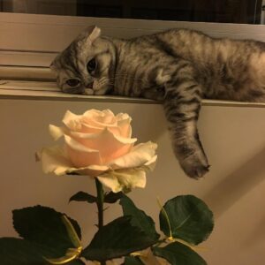 Feyyaz Yiğit Instagram - Evladım kimi düşünüyorsun.