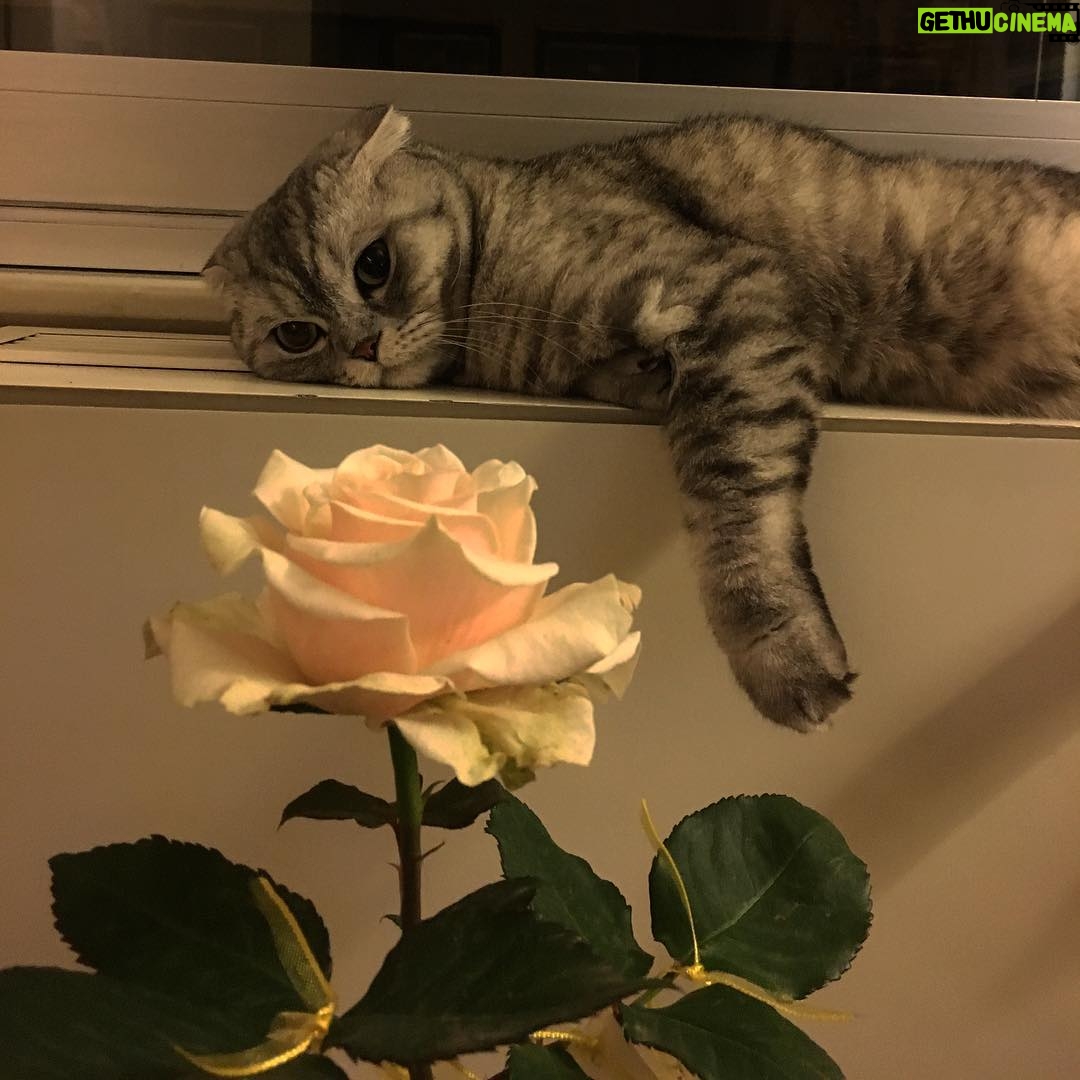 Feyyaz Yiğit - 9.9K Likes - Evladım kimi düşünüyorsun.
