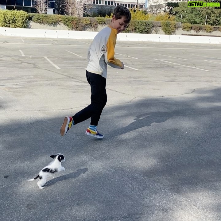 Finn Carr - 9K Likes - I can’t. This puppy is not even real! .
.
.
.
.
.
.
.
.
.
.
#videooftheday #puppy #love #smidge #maltese #chihuahua #puppiesofinstagram #part #horse #bucking #bronco #my #baby #girl #nugget #instagood