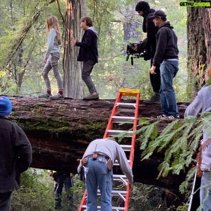 Finn Carr - 4.5K Likes - This was a big one!! Probably one of the most beautiful, challenging, adventurous, outrageous, jobs I’ve ever shot! We filmed in many gorgeous locations, stayed in fun hotels, got rained on by Mother Nature and through Hollywood Magic, worked with a dog and a skunk, ran down cliffs, jumped cow patties, played on the beach, rode bikes in the middle of a redwood forest, had a police escort, and made a million memories with new friends!! Hope you like these short videos documenting this commercial shoot! And the one silly video at the end because... Finn. Can’t wait to do it again!!! .
.
.
.
.
.
.
#actor #commercial #love #finncarr #me #happy #acting #onset #behindthescenes #movie #magic #watch #not #tiktok #instagood #action #grateful #lucky #focused #letsgo