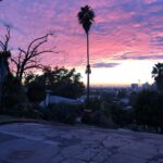 Finn Wittrock