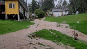 Fiona Horsey Instagram - SOS HELP SOCORRO!
 Las vías descuidadas de Colombia causan desastres! 
Por favor Alcaldía de La  Calera y Gobernación de Cundinamarca ayuden a destapar el puente que está totalmente tapado, represando toda el agua de la montaña! Esa agua nos amenaza!! Pedimos ayuda y siempre salen con excusas; están esperando un peor desastre? 
Amigos porfavor ayuemdeme a rotar esto, sé que no soy la única en esta situación, alcemos la voz para que los políticos cumplan sus promesas de protegernos y arreglar las vías.
#sos #inundaciones#ayuda#lacalera#Colombia #gobernaciondecundinamarca #alcaldíalacalera#lluvias #rios
