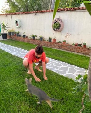 Fırat Topkorur Instagram - Kadife Hanıma ense damlası damlatma operasyonu daire başkanlığı 💉🧪🐈‍⬛ iyi bayramlar diler 🙌🏻