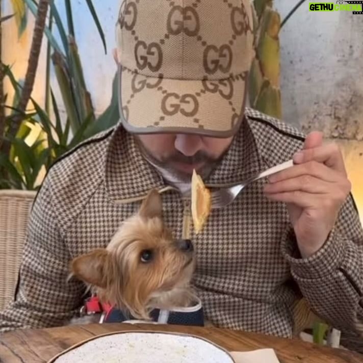 Flávio Furtado - 4.5K Likes - …fomos apanhados 🙈